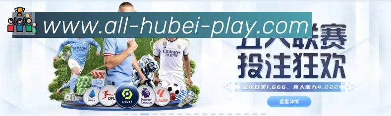湖北体彩APP 高清赛事图